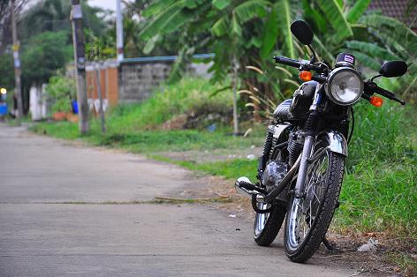 Name:  DSC_0206.JPG
Views: 889
Size:  75.3 KB