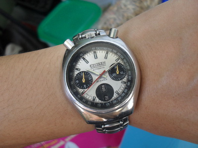 Name:  SDC10936_resize.JPG
Views: 1542
Size:  67.8 KB