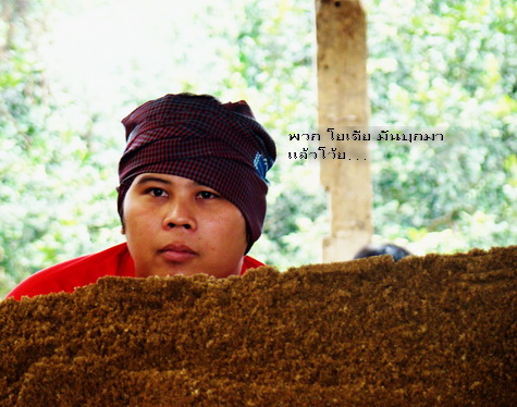 Name:  พม่า.jpg
Views: 271
Size:  102.6 KB