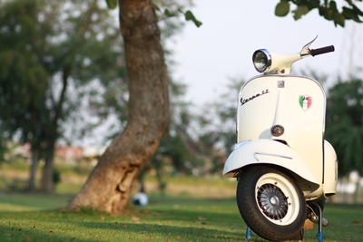 Name:  IMG_0589rs.jpg
Views: 2124
Size:  93.2 KB