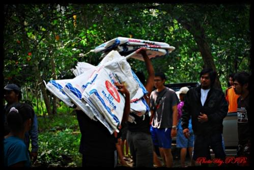 Name:  DSC_0326.jpg
Views: 133
Size:  36.1 KB