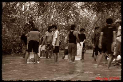 Name:  DSC_0348.JPG
Views: 136
Size:  108.0 KB
