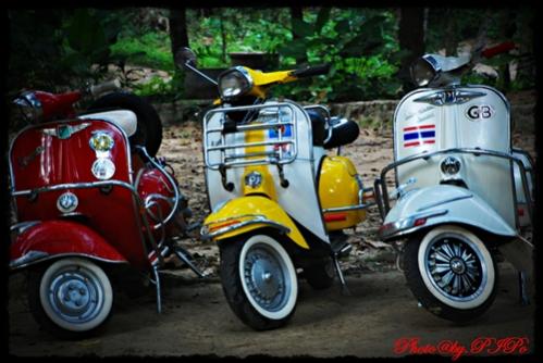 Name:  DSC_0399.jpg
Views: 141
Size:  34.6 KB