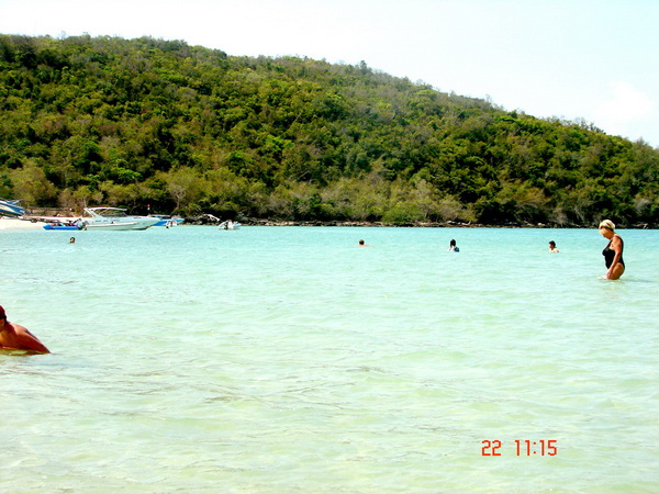 Name:  DSC03264.jpg
Views: 153
Size:  129.3 KB