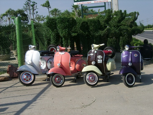 Name:  SSA50081.JPG
Views: 246
Size:  131.2 KB