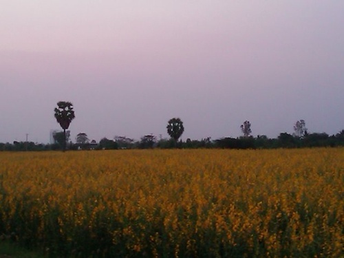 Name:  k6CoqPy3oB.jpg
Views: 593
Size:  47.3 KB