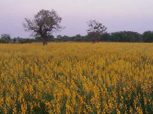 Name:  eDunp5dgSE.jpg
Views: 1035
Size:  91.2 KB