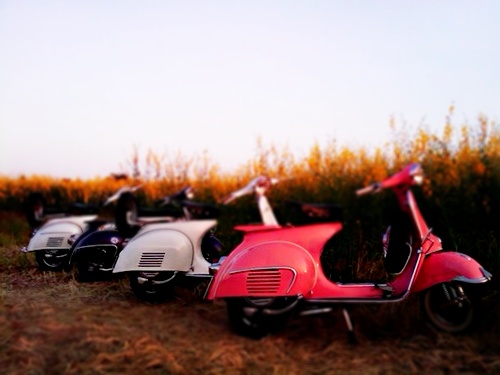 Name:  zgQcvAbf1V.jpg
Views: 305
Size:  49.1 KB