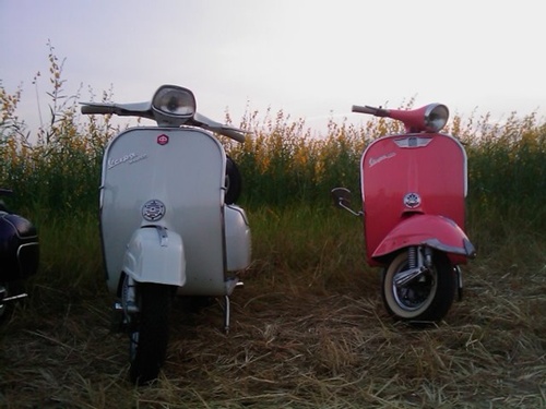 Name:  Ay0q0Ls1aL.jpg
Views: 315
Size:  63.5 KB