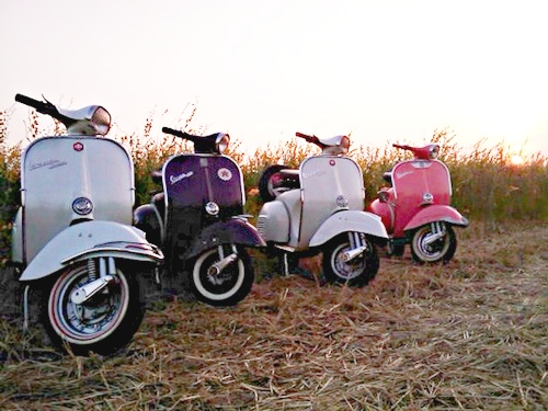 Name:  yTiV61ZVMz.jpg
Views: 332
Size:  87.8 KB