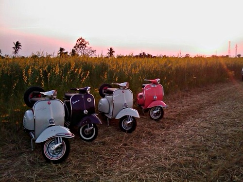 Name:  s9YAWYDSFN.jpg
Views: 321
Size:  77.0 KB