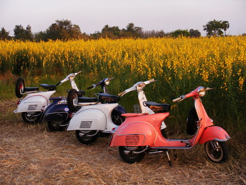 Name:  6.jpg
Views: 584
Size:  122.6 KB