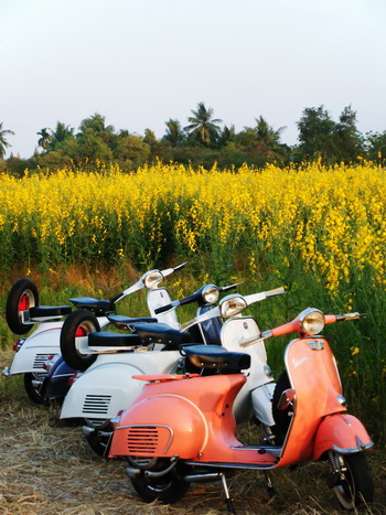 Name:  5.jpg
Views: 523
Size:  104.2 KB