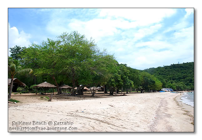 Name:  DSC_0013.jpg
Views: 217
Size:  83.4 KB