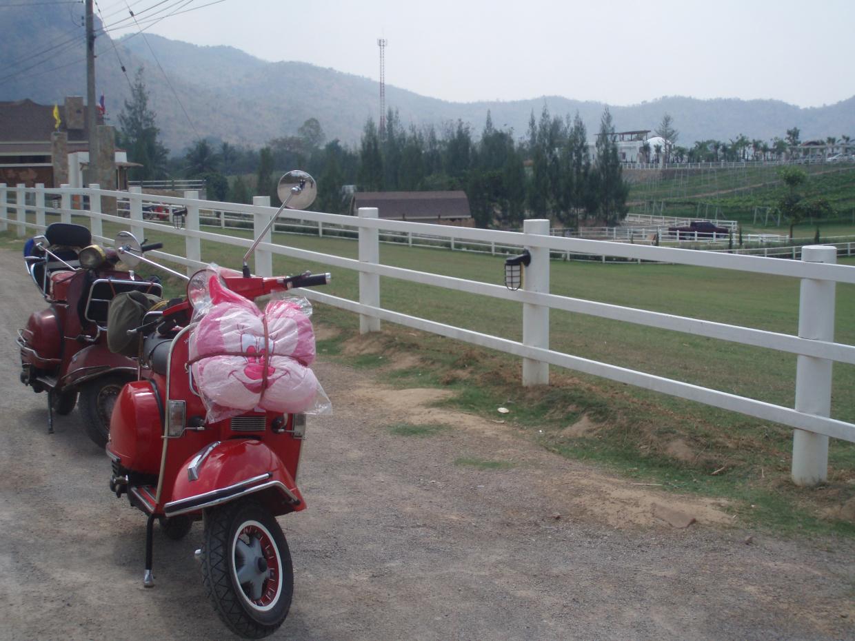 Name:  P1010033..jpg
Views: 204
Size:  146.5 KB