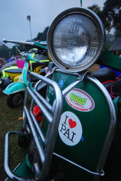 Name:  DSC_5922..jpg
Views: 366
Size:  103.7 KB