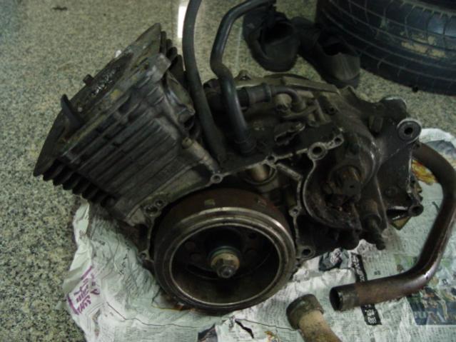 Name:  DSC00025.jpg
Views: 3560
Size:  47.3 KB