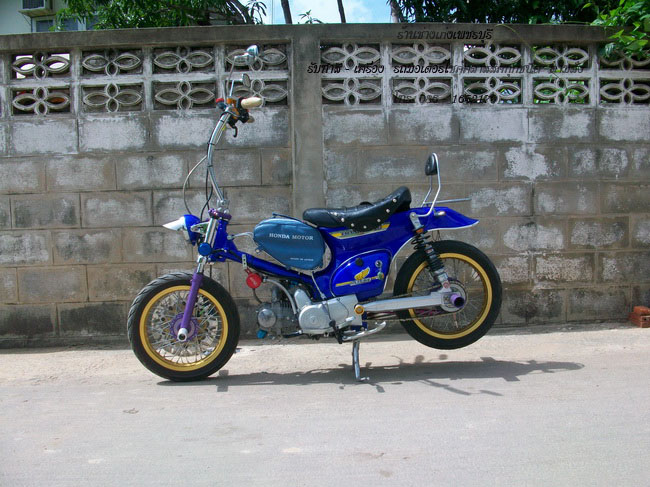Name:  100_1316_resize..jpg
Views: 7252
Size:  133.5 KB