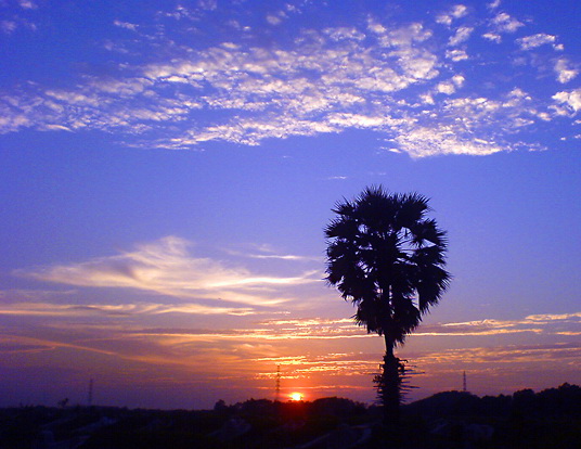 Name:  DSC06633.jpg
Views: 401
Size:  89.2 KB