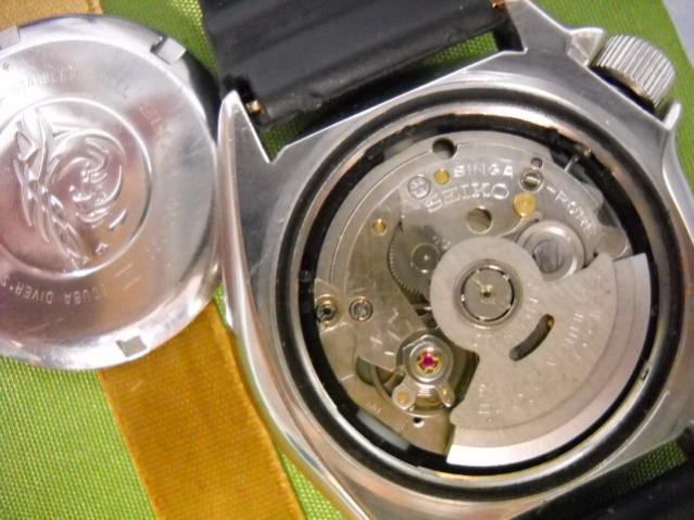 Name:  DSCN0491..jpg
Views: 2111
Size:  49.6 KB