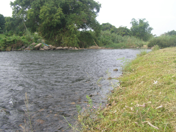 Name:  6..jpg
Views: 335
Size:  132.3 KB