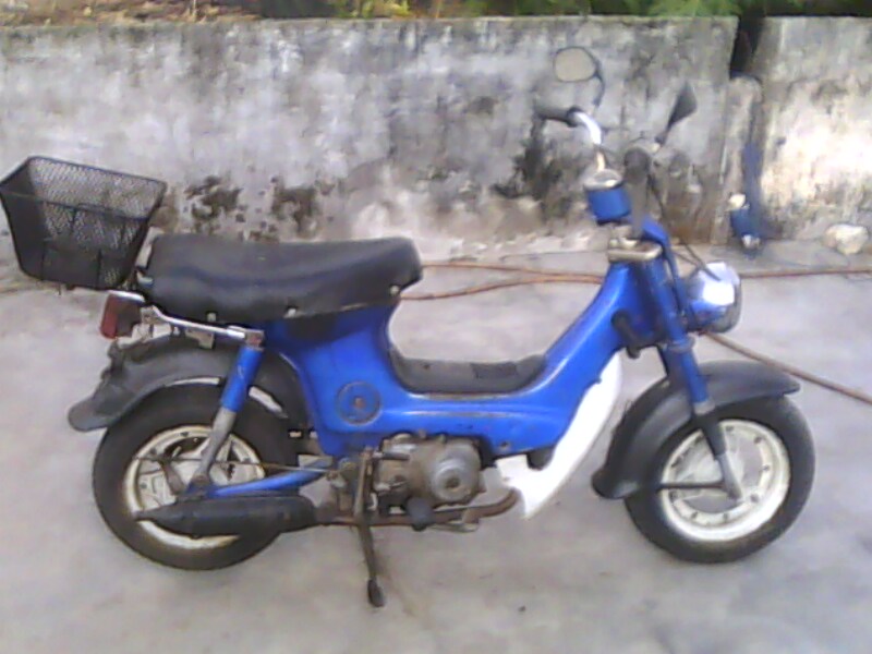 Name:  IMG0361A..jpg
Views: 1890
Size:  92.0 KB