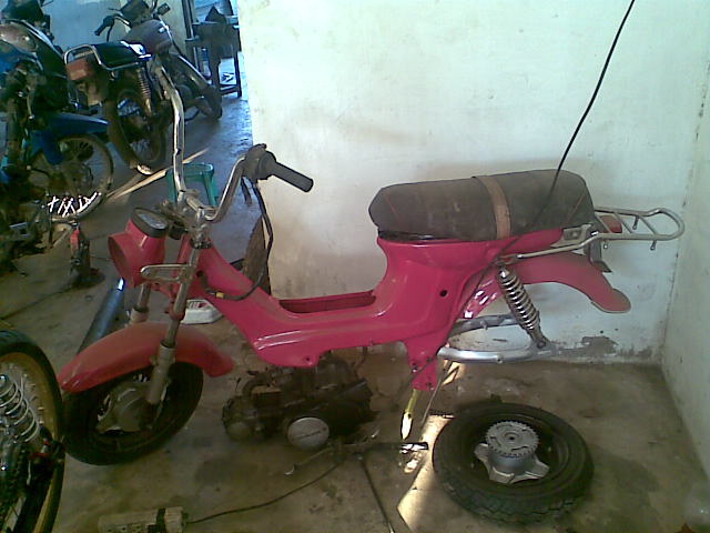 Name:  ชาลี1..jpg
Views: 481
Size:  73.0 KB