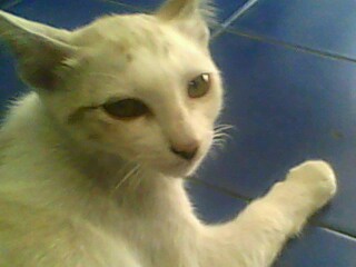 Name:  IMG0046A..jpg
Views: 160
Size:  16.1 KB