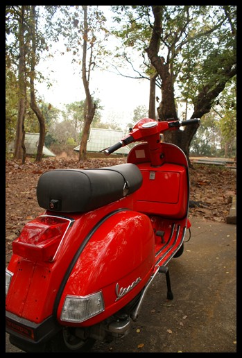 Name:  DSC04852..JPG
Views: 984
Size:  100.9 KB
