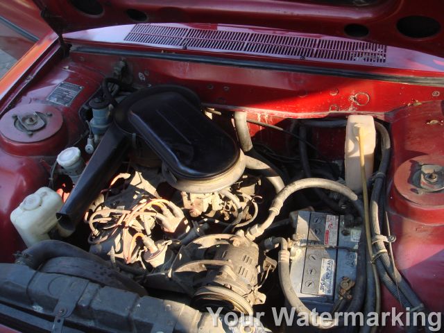 Name:  DSC05550..JPG
Views: 1981
Size:  75.9 KB