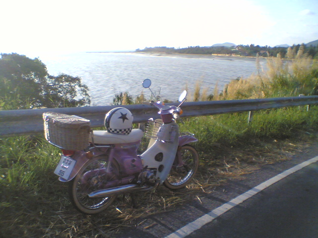 Name:  01032010(010)..jpg
Views: 502
Size:  108.6 KB