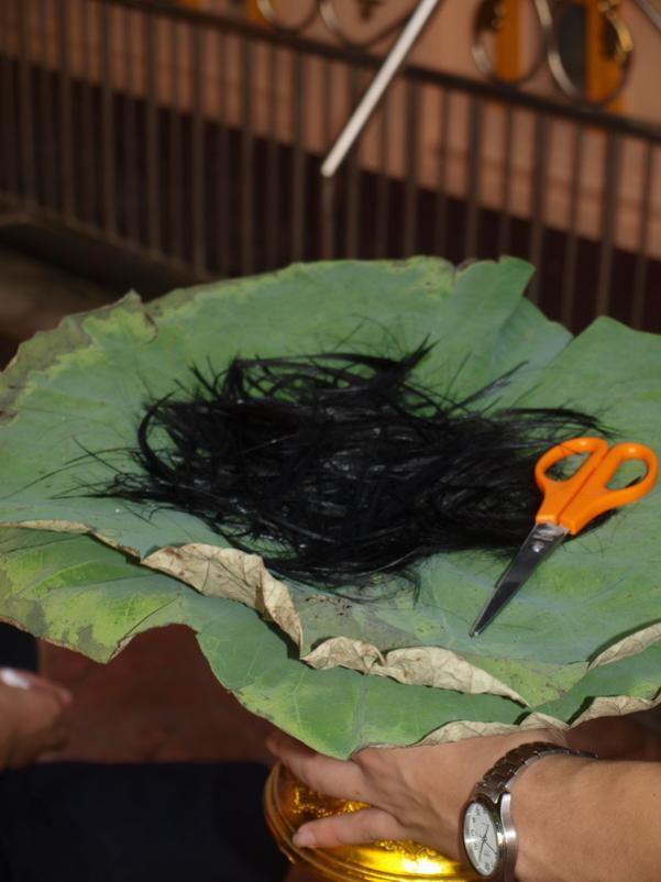 Name:  P3208190_resize.jpg
Views: 194
Size:  50.0 KB