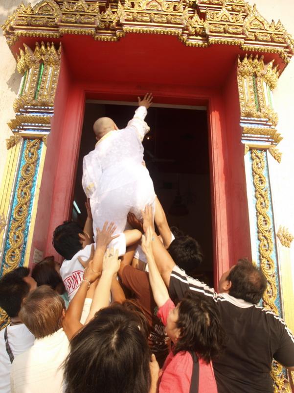 Name:  P3208321_resize.jpg
Views: 185
Size:  82.1 KB