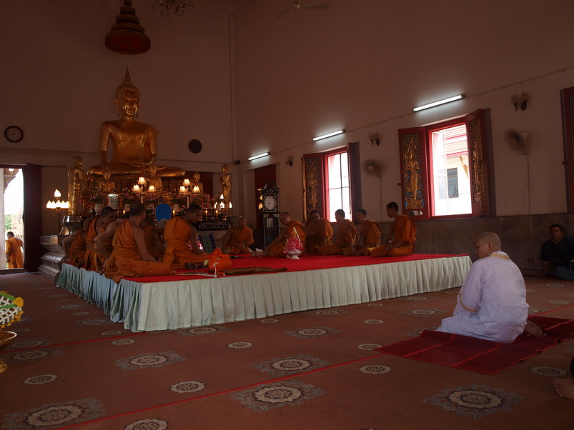 Name:  P3208332_resize.JPG
Views: 181
Size:  146.2 KB