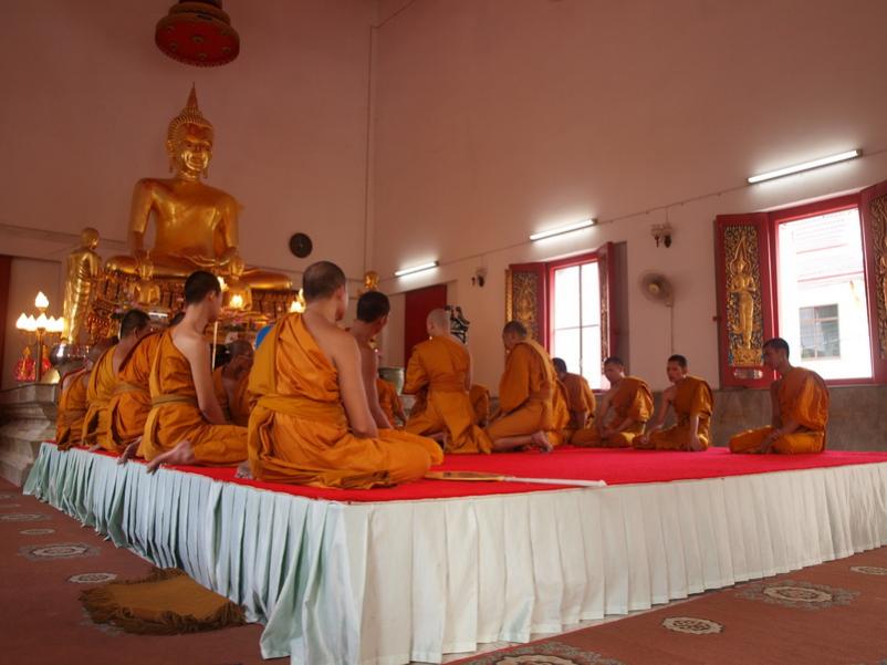 Name:  P3208345_resize.jpg
Views: 181
Size:  55.2 KB