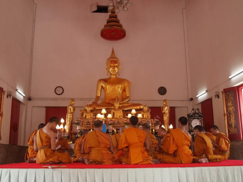 Name:  P3208359_resize.jpg
Views: 181
Size:  49.0 KB