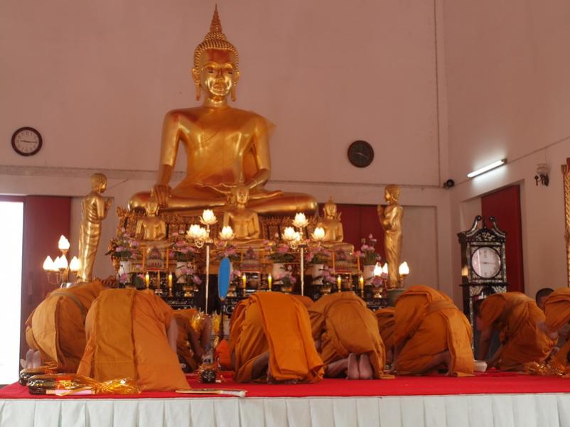 Name:  P3208366_resize.jpg
Views: 190
Size:  53.7 KB