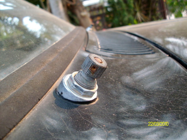 Name:  IMG_0109_re..jpg
Views: 1214
Size:  91.8 KB