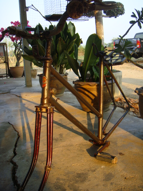 Name:  DSC02312..JPG
Views: 301
Size:  135.8 KB