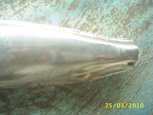 Name:  PIC_0035..JPG
Views: 560
Size:  34.9 KB