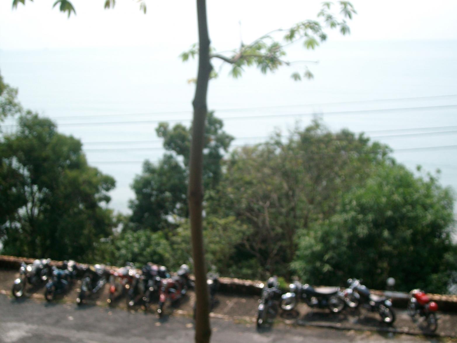 Name:  SANY0583..jpg
Views: 720
Size:  130.1 KB