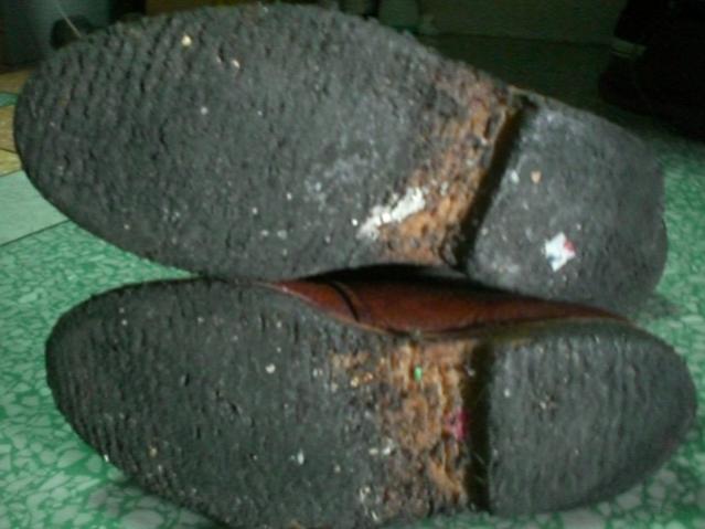 Name:  CIMG3587..jpg
Views: 867
Size:  36.0 KB