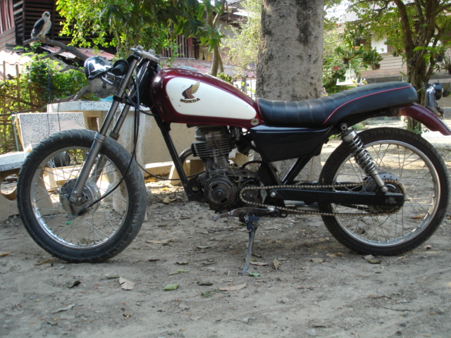 Name:  DSC02473..JPG
Views: 519
Size:  147.9 KB