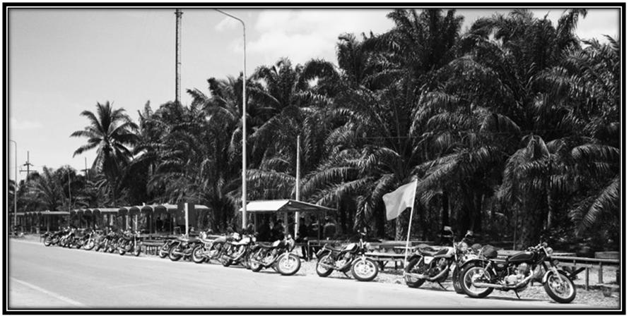 Name:  IMG_40127..jpg
Views: 162
Size:  79.7 KB