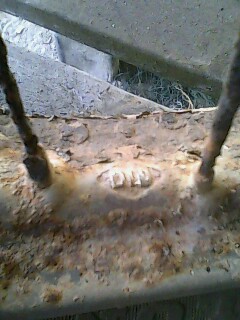 Name:  04-14-10-170932..jpg
Views: 309
Size:  26.9 KB