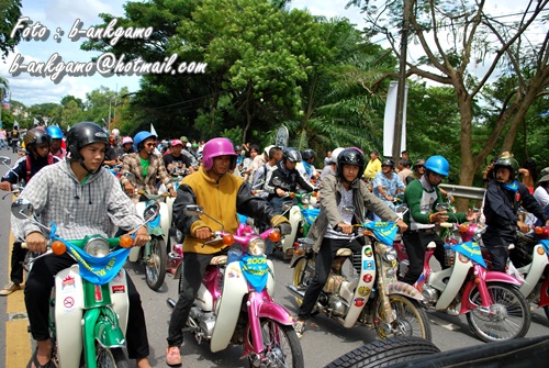 Name:  DSC_0187.JPG
Views: 423
Size:  142.1 KB