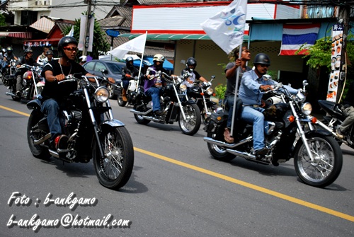 Name:  DSC_0314.JPG
Views: 408
Size:  117.1 KB