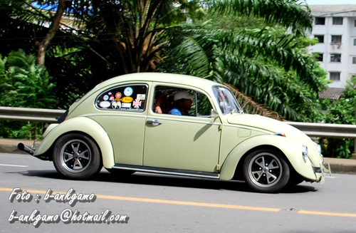 Name:  DSC_0476.JPG
Views: 419
Size:  100.5 KB