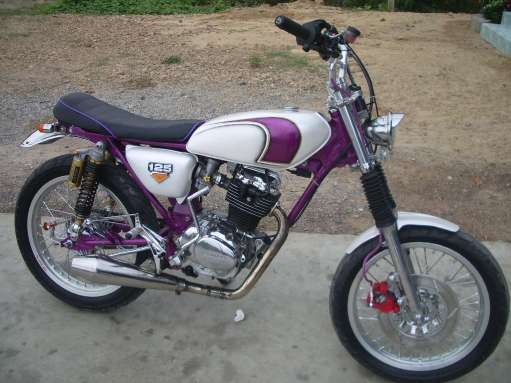 Name:  IMGP4505.jpg
Views: 143
Size:  125.4 KB