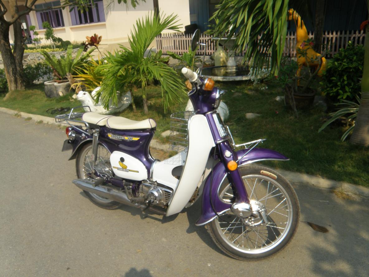 Name:  P1260367.jpg
Views: 1557
Size:  146.3 KB